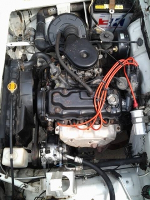 คาริเบี้ยนใช้งานในไร่ในสวน 110000 บาท