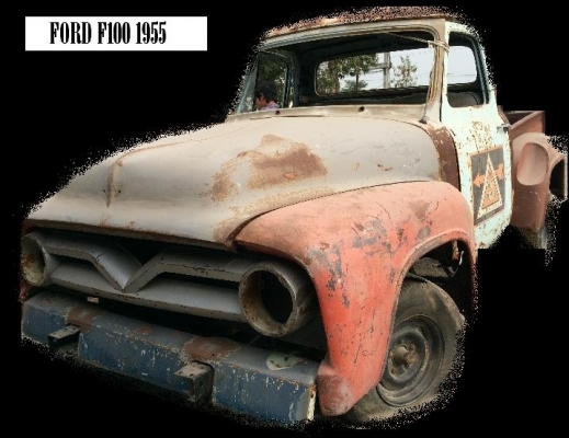 ขาย FORD F-100 1955 ขาย FORD F-100 1955