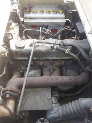 เช่ารถยกฟอร์คลิฟท์ FORKLIFT 2.5 ตัน Diesel ยกสูง 3.0 mm.ยางตัน