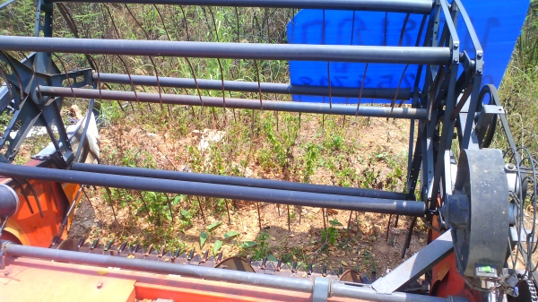 รถเกี่ยวข้าว KUBOTA DC60 รถสวย สีเดิม ๆ ในราคาสุดคุ้ม ชอบราคาเท่าไรต่อรองได้ครับ