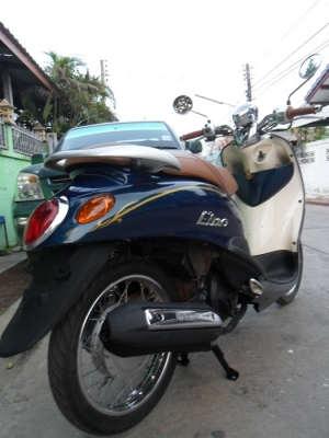 ฟีโน่เกเดี่ยวน้ำเงินขาว รถปี52 เครื่องดีสภาพสวยภาษียังไม่ขาด ฟีโน่เกเดี่ยวน้ำเงินขาว รถปี52 เครื่องดีสภาพสวยภาษียังไม่ขาด