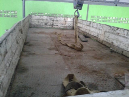 ขาย รถบรรทุก ติดเครน ISUZU DEAC