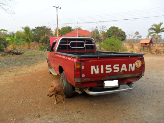 ขายNissan Big M