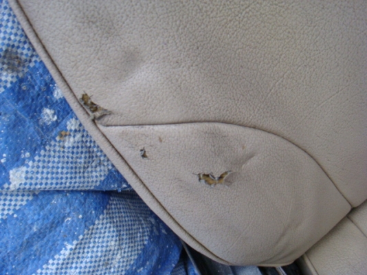 ขายแล้ว ขายแล้ว