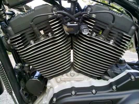 Harley Davidson XL1200 sportster ปี 2005 อินวอย์ + สรรพสามิต