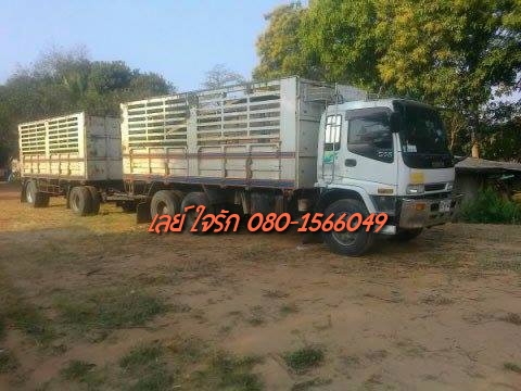 **1,850,000 บ.ต่อรอง**ขาย10ล้อ2เพลาพ่วง แม่+ลูก ไม่ดั้ม ISUZU DECA 270 EURO1 ปี43 เครื่องเดิมเกียร์เดิม แน่นดีแรง ช่วงล่างดีคัสซีสวยเดิม กระบะเหล็กคอกเกษตรไม่ดั้มสภาพดี พื้นดีข้างดีไม่ผุ หัวเก๋งดี ภายในสวยคอนโซลครบ พ.พาวเวอร์ ทริฟฟี่ ยางดี8เส้นพอใช้2เส้น
