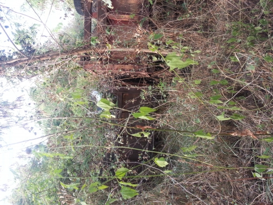 หางดั้ม2เพลา ไม่มีทะเบียน ยี่ห้อพนัส เจ้าของมาเองครับ 089-717-6464