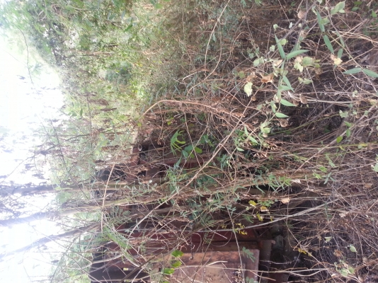 หางดั้ม2เพลา ไม่มีทะเบียน ยี่ห้อพนัส เจ้าของมาเองครับ 089-717-6464