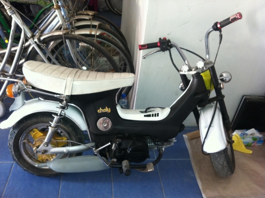 ขาย ชาลี ราคาถูกมาก