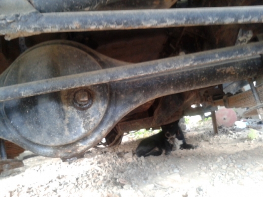 รถจิีบ แลนโรเวอร์ สภาพสวย เล่มพร้อมโอน รถจิีบ แลนโรเวอร์ สภาพสวย เล่มพร้อมโอน