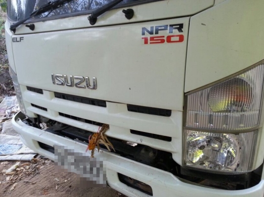 รถอีซูซุ 6 ล้อดั้ม NPR 150 แรงม้า. ปี 53 ( รถวิ่ง 55,xxx กม. ) สนใจติดต่อ 081 - 6079515 รถอีซูซุ 6 ล้อดั้ม NPR 150 แรงม้า. ปี 53 ( รถวิ่ง 55,xxx กม. ) สนใจติดต่อ 081 - 6079515