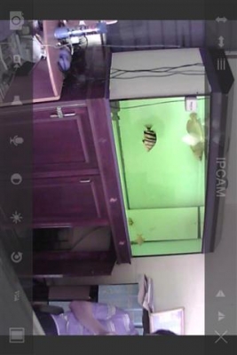 ขายกล้อง IP ดูกล้องผ่านมือถือ ติดตั้งง่ายมากเพียงสแกน ขายกล้อง IP ดูกล้องผ่านมือถือ ติดตั้งง่ายมากเพียงสแกน