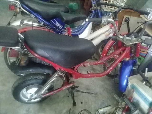 ขายโคลงชิบปี้