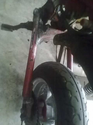 ขายโคลงชิบปี้