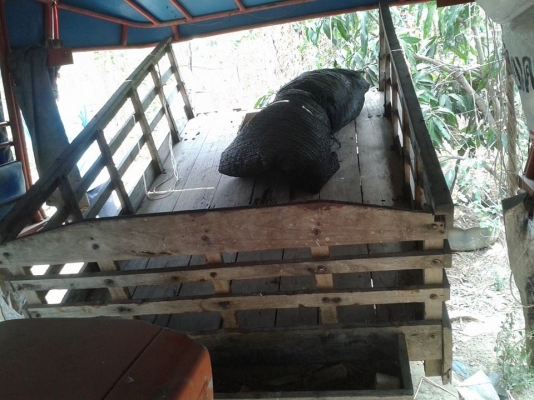 รถไถ่ คูโบต้า 22แรง มีลากพวงด้วย สนใจโทรมานะครับ