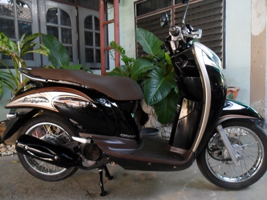 Honda scoopy I ปี 55 วิ่งน้อยสภาพเอี่ยมมากเครื่องใสๆ Honda scoopy I ปี 55 วิ่งน้อยสภาพเอี่ยมมากเครื่องใสๆ