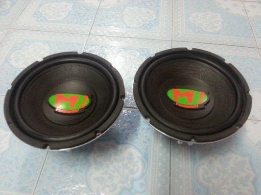 ซับ 10 นิ้ว เอ็มมาราธอน usa