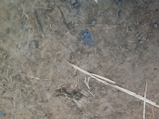 ขายแล้วครับ