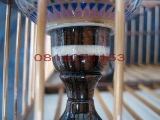 @@@ กรงนกหัวโขน (หัวจุก) @@@