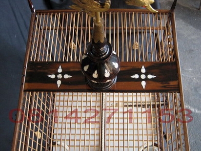 @@@ กรงนกหัวโขน (หัวจุก) @@@