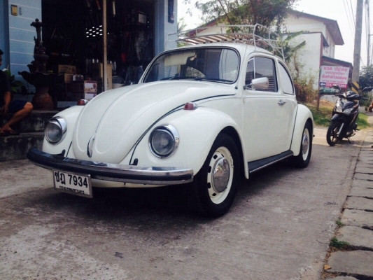 ขายเต่า