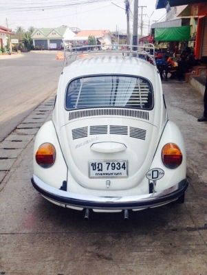 ขายเต่า