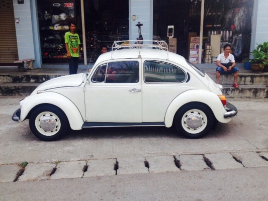 ขายเต่า