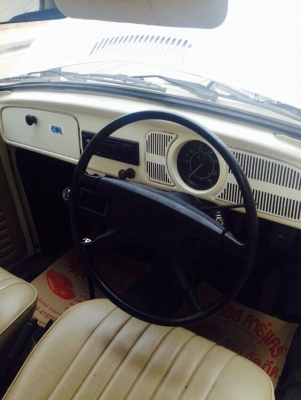 ขายเต่า