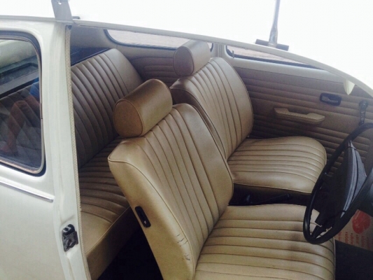 ขายเต่า