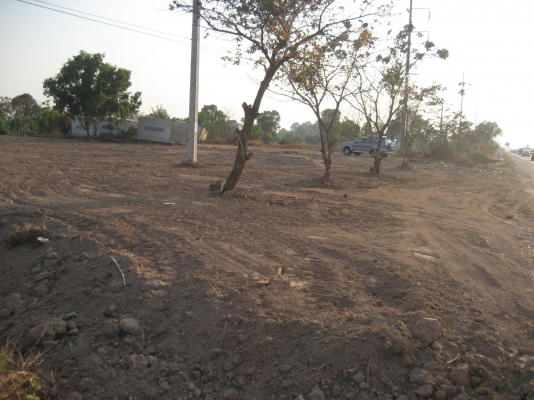 ขายที่ดินติดถนน ออกจาก 4 แยก  บายพาส ร้อยเอ็ด- โพนทอง