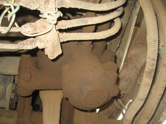 ดัมพ์ KM :DM;่100  รถทำงานทุกวัน  ราคา  250,000  บาท