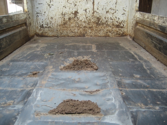 ดัมพ์ KM :DM;่100  รถทำงานทุกวัน  ราคา  250,000  บาท