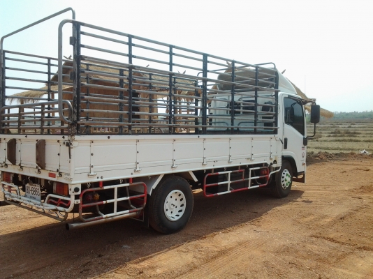 ISUZU   130  เทอร์โบ  NMRปี53   ขายดาวน์งวดเดือนละ18000บาทเหลือ18งวด