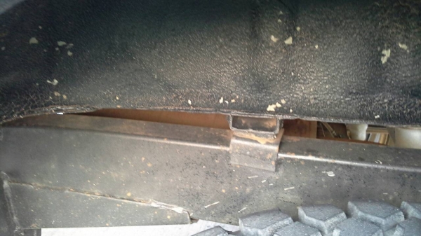 แคริเบียนsportyปี96