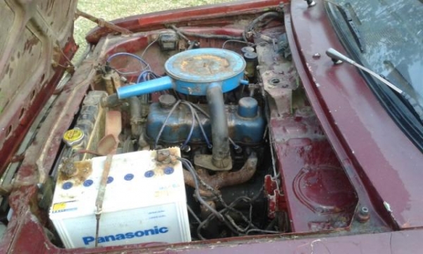 มาสด้าน้อย