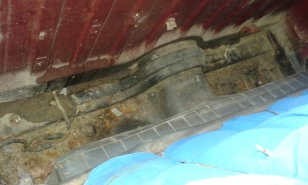 มาสด้าน้อย