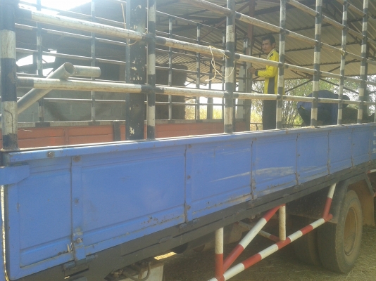 ท่านใดว่างมาก่อนเลยครับ(ไม่ผิดหวังแน่นอน)เครื่องดี แน่นๆ(ไม่มีไอ)แซสซีสวยๆ สวยมากๆ สวยตลอดเส้น กระจกไฟฟ้า พวงมาลัยพาวเวอร์ แอร์  รถสวยจัดพร้อมโอน ทันทีพร้อมใช้งานทันทีไม่ต้องทำอ