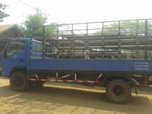 ท่านใดว่างมาก่อนเลยครับ(ไม่ผิดหวังแน่นอน)เครื่องดี แน่นๆ(ไม่มีไอ)แซสซีสวยๆ สวยมากๆ สวยตลอดเส้น กระจกไฟฟ้า พวงมาลัยพาวเวอร์ แอร์  รถสวยจัดพร้อมโอน ทันทีพร้อมใช้งานทันทีไม่ต้องทำอ