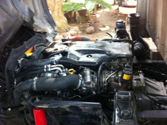 ขาย 4 ล้อ NLR 130 แรง สภาพสวย พร้อมใช้ รถปี 52 ราคา 580,000