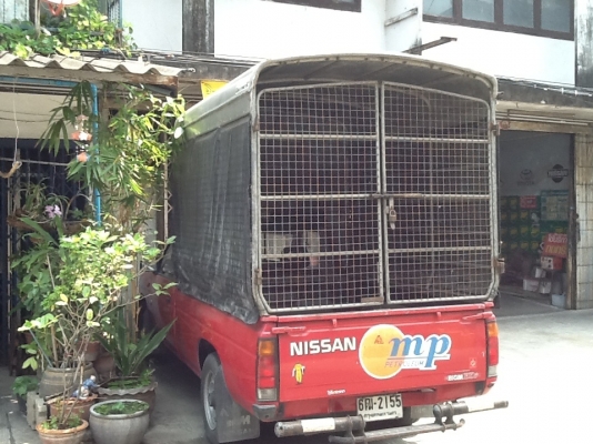 ต้องการขายหลังคาเหล็กทรงสูงสภาพดี สำหรับกะบะหัวเดียวนิสสันหรืออีซูซุ