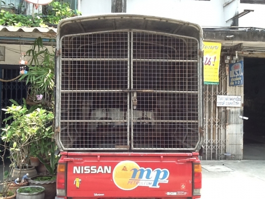 ต้องการขายหลังคาเหล็กทรงสูงสภาพดี สำหรับกะบะหัวเดียวนิสสันหรืออีซูซุ