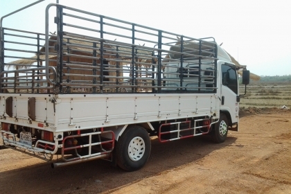 ISUZU NMR ปี53 หัวตึก แอร์เย็น ห้างแท้ ยาว4.3 ม รถมือเดวเหลือ 18 งวด เปลี่ยนสัญาได้ครับ งวดปกติ