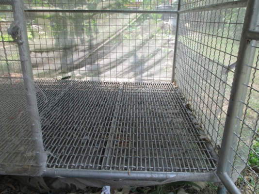 ขายกรงหมาสภาพใหม่