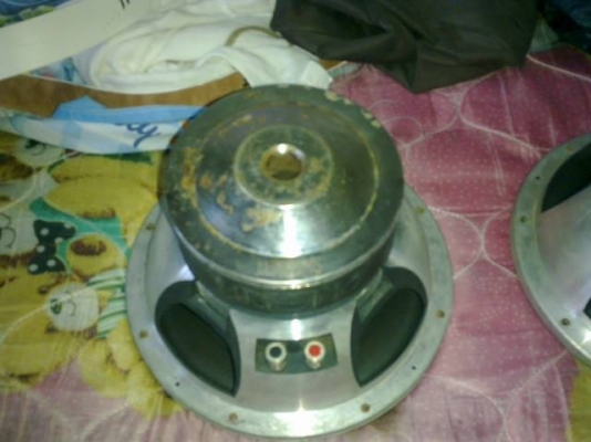 ขาย 5,000 ดอก10นิ้ว +ปรี+เพาเวอร์ คร้าบบบ ขาย 5,000 ดอก10นิ้ว +ปรี+เพาเวอร์ คร้าบบบ