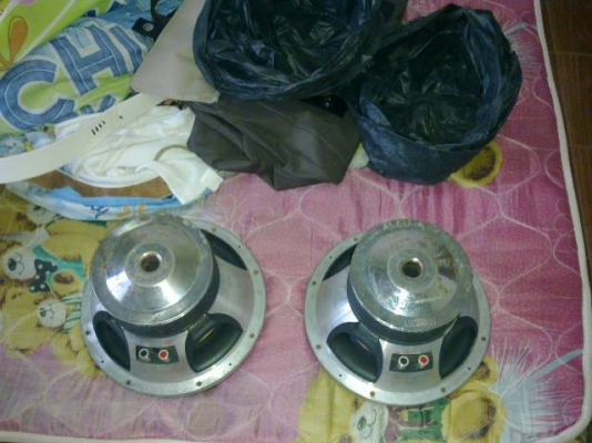 ขาย 5,000 ดอก10นิ้ว +ปรี+เพาเวอร์ คร้าบบบ ขาย 5,000 ดอก10นิ้ว +ปรี+เพาเวอร์ คร้าบบบ