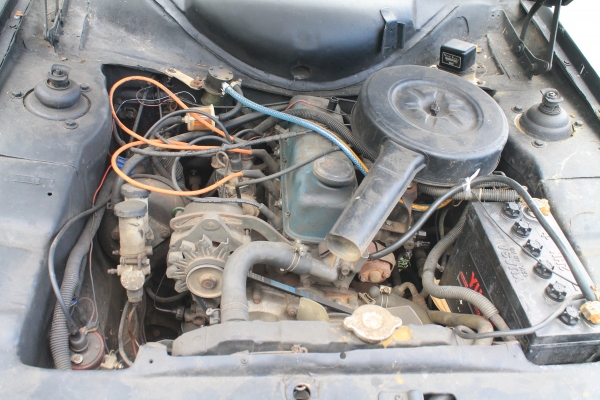 ขาย Ford Escort ปี 1981