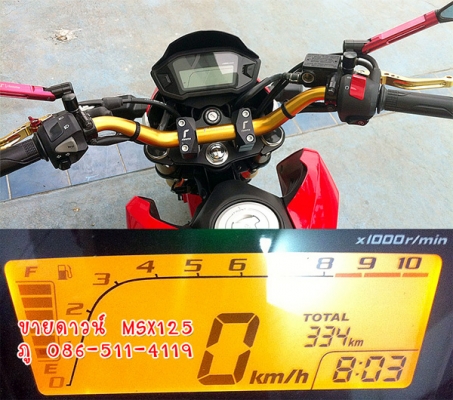 ขายดาวน์ MSX125 สีแดง ขายดาวน์ MSX125 สีแดง