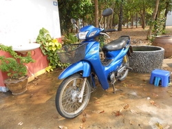 ขาย HONDA WAVE Z