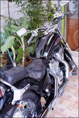 สตีล 600 cc  ทะเบียนแท้ โอนขนส่ง