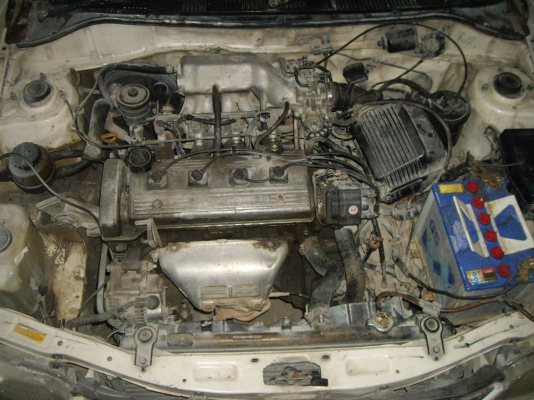 ซูโลน่าปี98